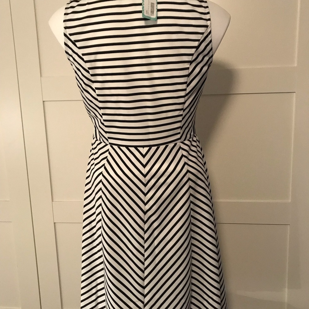 {BOGO} Pixley Striped Fit and Flare Dress - Picture 3 of 8